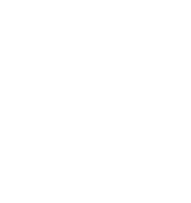 Citadel Logo stacked